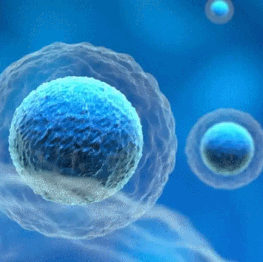 Health, pharma & biotechnology